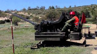 Hellenic AA guns Mk20 Rh202 firing [upl. by Aggarwal]