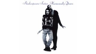 Shakespears Sister  The Trouble With Andre Official Audio [upl. by Llerud]