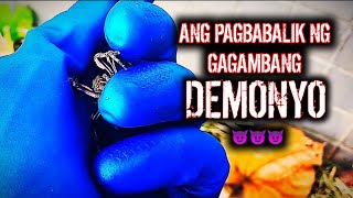 Ang Pagbabalik ng Gagambang Demonyo [upl. by Ahsuoj425]