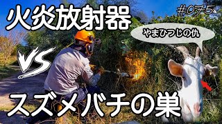 スズメバチに隊員が襲われたので火炎放射器で報復した 【キャンプ場開拓】 075 [upl. by Chev258]