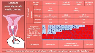 Lesiones premalignas de cervix LSIL HSIL LIEBG LIEAG Neoplasia intraepitelial cervical ENARM [upl. by Nilknarf849]