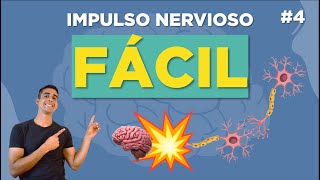 TRANSMISIÓN del IMPULSO NERVIOSO ▶▶💥 y SINAPSIS explicaCIÓN FÁCIL [upl. by Airotkciv425]