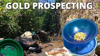 GOLD Prospecting THE BEST CREEK in Australia [upl. by Llien126]