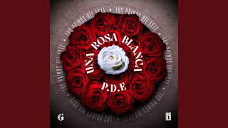 Una Rosa Blanca [upl. by Adla]