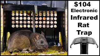 104 Electronic Infrared Automatic Rat Tap Mousetrap Monday [upl. by Langsdon]