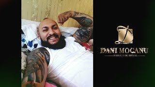 Dani Mocanu  Un sfat pentru dusmani  Official Audio [upl. by Lotz396]