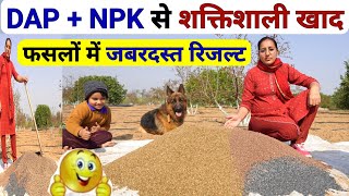 DAP और NPK fertilizer से पावरफुल खाद Ammonium phosphate sulphate fertilizer  2020013 fertilizer [upl. by Dorolice]