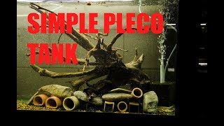 How to set up a basic Pleco breeding tank Hypancistrus Breeding [upl. by Borlow]