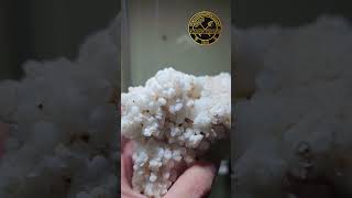 Aragonite from Greece lavrio [upl. by Merth]