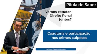 Pilula do Saber  Coautoria e participação nos crimes culposos  Vamos estudar direito penal juntos [upl. by Armbruster]