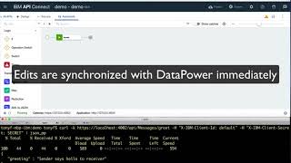 API Policy Development with DataPower in API Connect Toolkit [upl. by Yole235]