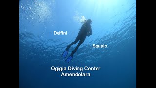 Ogigia Diving Center [upl. by Kassity]