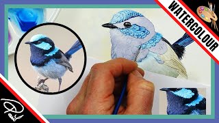 How to Paint Feathers  5 EASY TIPS amp TECHNIQUES Watercolor Birds [upl. by Raynah]