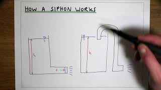 How a siphon syphon works [upl. by Ochs660]