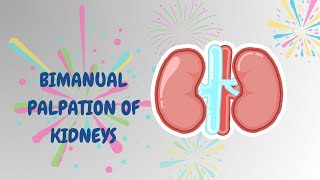 Bimanual Palpation of Kidneys [upl. by Enidlarej]