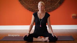 10 Minute Meditation  Anapana [upl. by Brent]