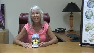 Craniosacral Therapy Practitioner Training  An Introduction [upl. by Nomde332]