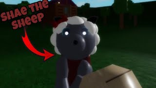 NEW SHAE THE SHEEP JUMPSCARE  Roblox Rash Raid Beta [upl. by Seek]