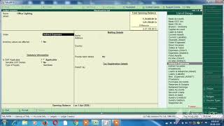 How to create Trial balance in Tally erp9 Explain in Tamil [upl. by Eidur]