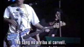 NOFX  Dont Call Me White Live 97 [upl. by Yrolg]