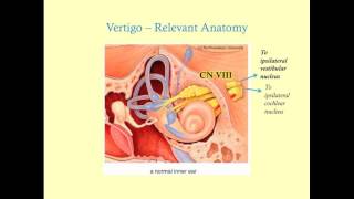 A Basic Simplified Approach to the Dizzy Patient Part 1 [upl. by Atnohsal374]