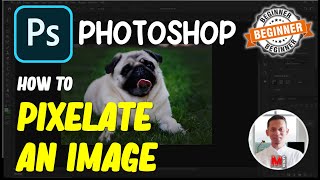 Photoshop How To Pixelate An Image [upl. by Ynaittirb309]