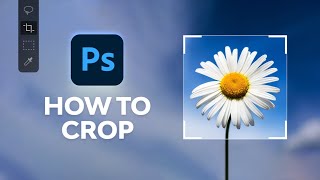 How to Crop in Photoshop [upl. by Ahsienyt799]