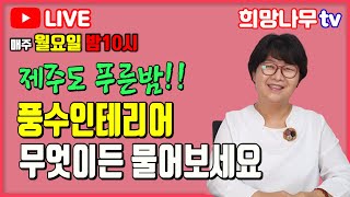 6월 20일 희망나무 생방송 제주도 푸른밤 풍수인테리어 무엇이든 물어보세요 [upl. by Simsar]