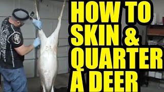 How to Skin amp Quarter a Deer [upl. by Ayahsey902]