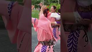 Awa odori 2023 Japan  summer festival [upl. by Aleahcim]