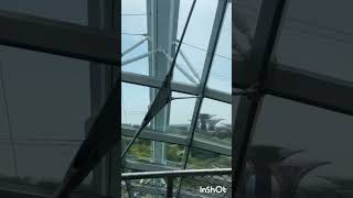 Cloud forest Biodome Singapore Gardens by the bay Shorts [upl. by Tuesday]