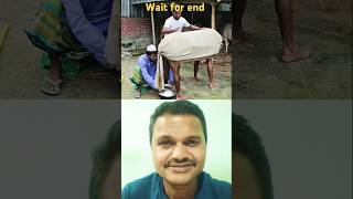 Most funny trading video 2024 cowdung comedy funny villagelife [upl. by Waxman360]