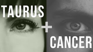 Taurus amp Cancer Love Compatibility [upl. by Mecke850]