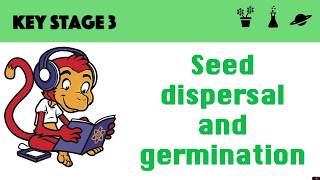 Germination and seed dispersal [upl. by Sheline]