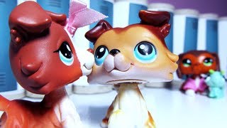 Littlest Pet Shop Popular Episode 22 Keep an Eye on Your Boy [upl. by Ayortal719]