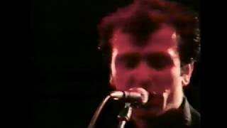 The Stranglers Rockstage 1980 [upl. by Hochman]