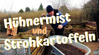 Beetvorbereitung mit Hühnermist  Stroh oder Rasenschnitt als Mulch  Ein neues Experiment [upl. by Rubbico10]