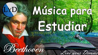 Música Clásica para Estudiar y Concentrarse y Memorizar 📚 Música para Trabajar y Concentrarse Piano [upl. by Tyre]