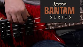 Spector Bantam Bass [upl. by Nero]