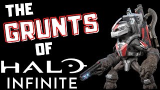 Halo Infinite Grunt Breakdown [upl. by Eltsyrk294]