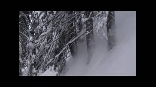 Monoski freeride [upl. by Gustafsson]