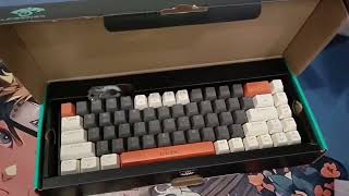 1vlog inbox Chuột T1 và keyboard H68 [upl. by Liana948]