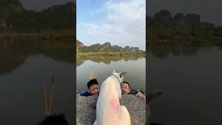 Two babies fell into the lake and luckily a dog rescued them pet Dog lovedog [upl. by Yekram]