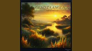 Genista Anglica [upl. by Niknar]