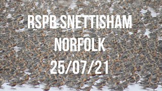 RSPB Snettisham Norfolk 250721 [upl. by Gardener]