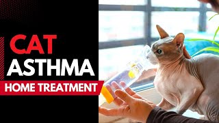 Cat Asthma Natural Remedies amp Treatment  Every Pet Owner Should Know [upl. by Anelej7]