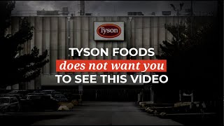 Tyson Foods does not want you to see this video ❘ The Humane League [upl. by Airtemak]