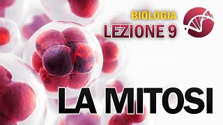 BIOLOGIA  Lezione 9  La Mitosi [upl. by Sid731]