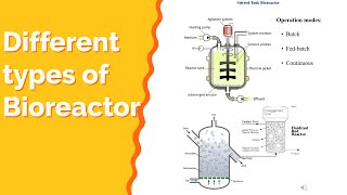 Different types of bioreactors Explained Biochemical amp Bioprocess Engineering [upl. by Cummine]