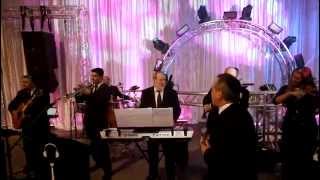 Jewish Wedding Band in Miami Florida playing the Hora [upl. by Guibert]